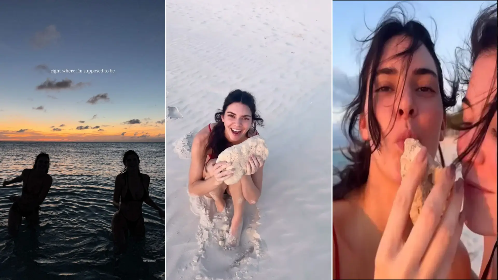 Kylie And Kendall Jenner Throw Rocks And Sip Vodka In Beach Video