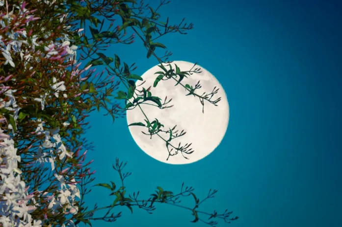 May 2025 Flower Moon: Micromoon Peaks At 12:56 Pm Edt May 2025 Flower Moon: Micromoon Peaks At 12:56 Pm Edt