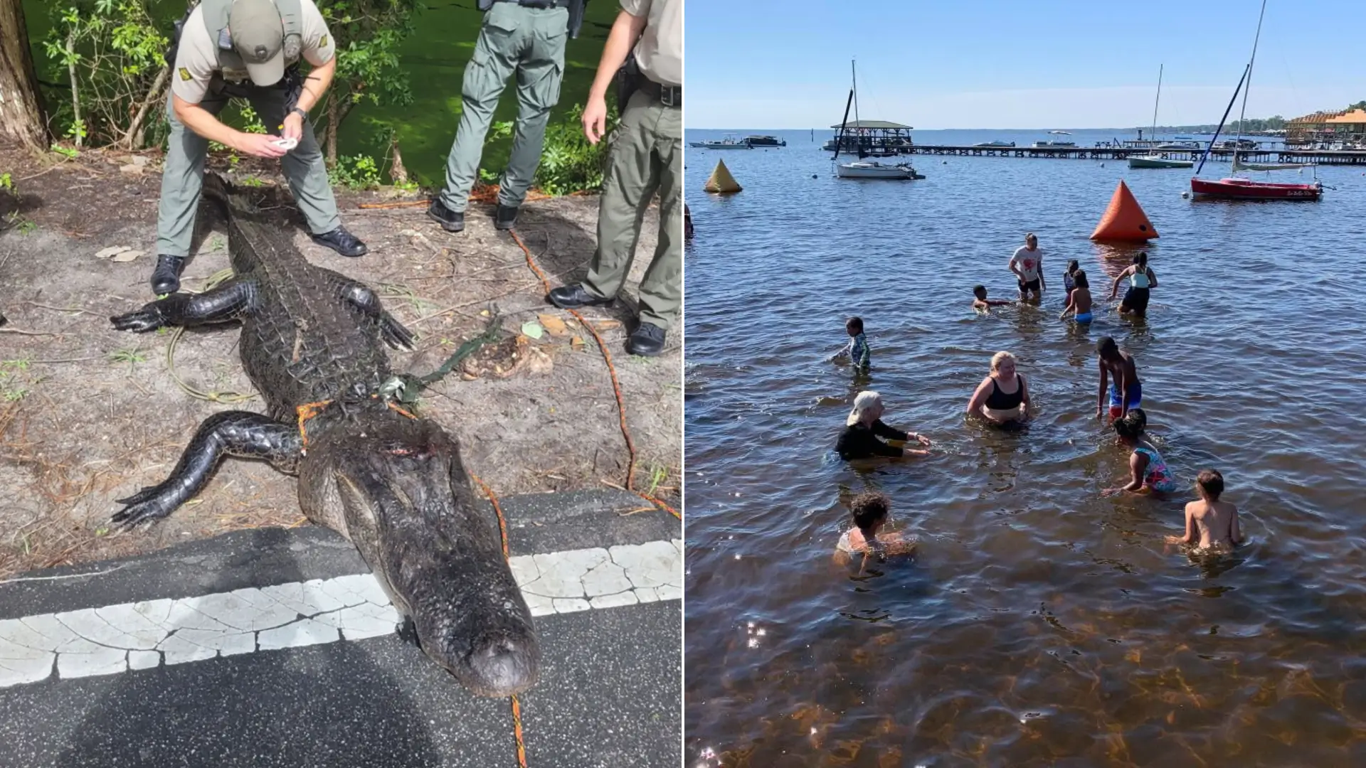 12 Year Old Girl Attacked By 12 Foot Alligator In North Carolina Lake Brother Saves Her
