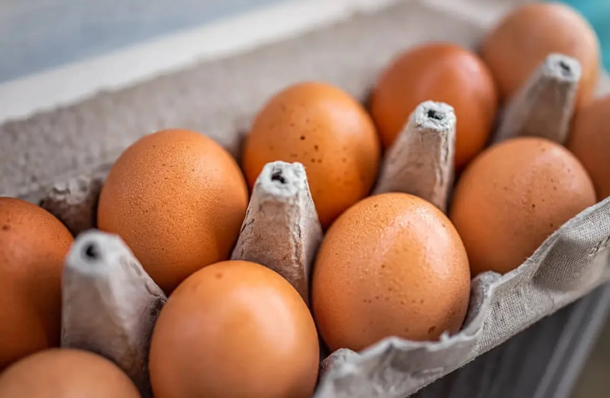 August Egg Company Recalls Organic Eggs Sold In 9 States Due To Salmonella Risk